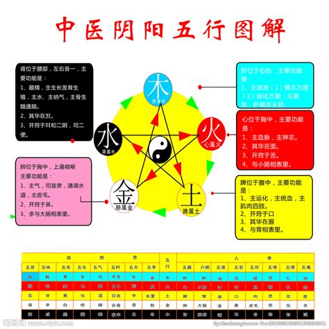 中医五行五脏对应表设计图__其他图标_标志图标_设计图库_昵图网nipic.com