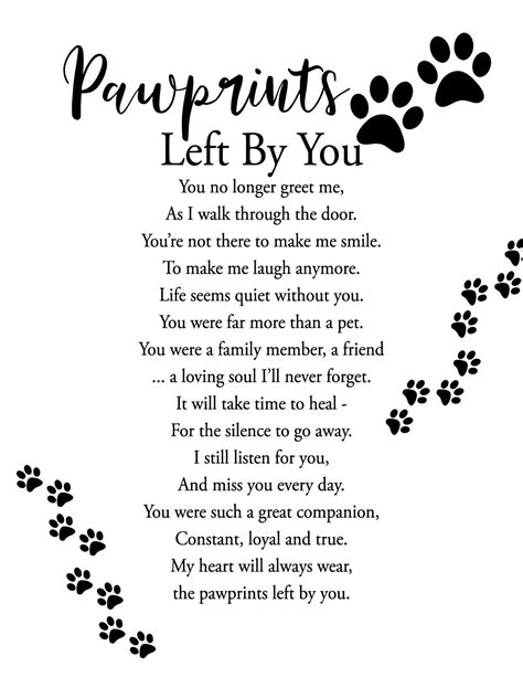 24 touching pet loss poems to find comfort in – Artofit