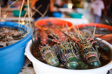 Food and Dining in Boracay Island - Boracay Island travel guide - Go Guides