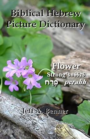 Biblical Hebrew Picture Dictionary eBook : Benner, Jeff: Amazon.in ...