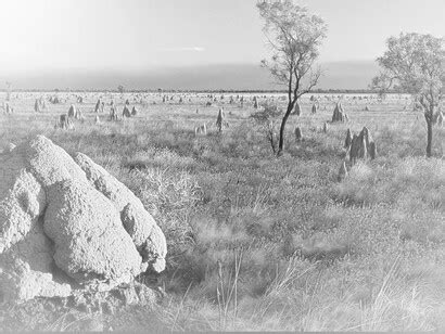 Why is life limited to 100 years? | Meer