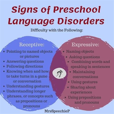 Image result for Mixed Expressive Receptive Language