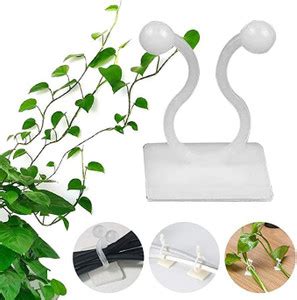 KitchExpo Plant Climbing Wall Fixing Clip|Indoor Cable tie Clip|self ...
