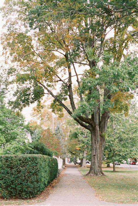 Image result for Small Things Blog