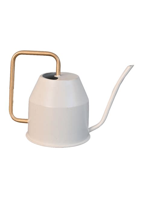 Watering Cans - Buy Watering Can Online for Plants | Ugaoo