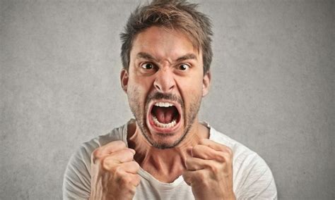 Image result for Angry World Java