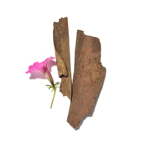 Crème Ancienne White Truffle Eye Serum | Fresh US