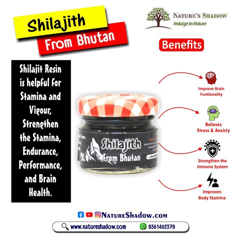 Shilajit Resin From Bhutan - 30 Grams Pack – Nature's Shadow