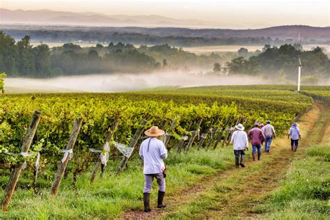 Palladio Restaurant - Barboursville Vineyards