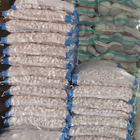 Jual BATU HIAS KORAL PUTIH KUPANG KARUNG 12 KG/BATU TAMAN/BATU PUTIH ...