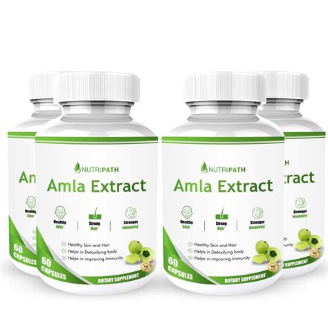 Buy Nutripath Amla Extract Supplement for Skin, Hair and Immunity - 60 ...