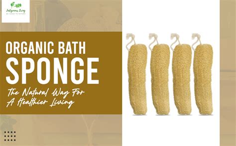 Indigenous Living – Natural Loofah for Bathing Exfoliating Scrubbers ...
