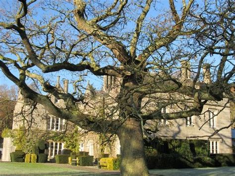 LISNAVAGH HOUSE & GARDENS (Rathvilly) - Cottage Reviews & Photos ...