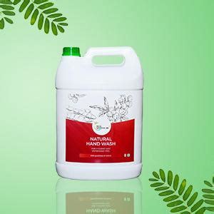 EcoSattva 3R Natural Chemical-Free Herbal Soap Nut Extract Hand-wash ...