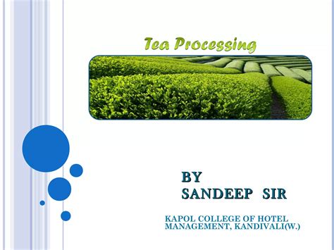 Image result for Simple Tea Making Process Picture