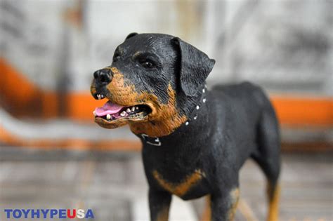 Image result for Alien Resurrection Creature