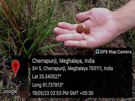 St. Edmund's College