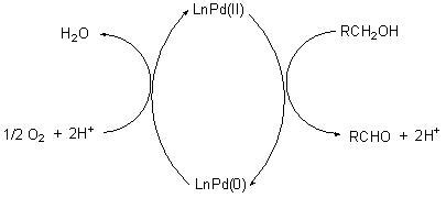 Scheme 5