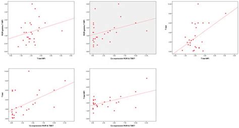 Cells | Special Issue : Cellular Mechanisms and Targeted Therapy of ...