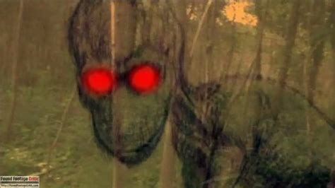 Lost Tapes Creatures 的图像结果