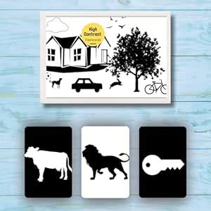 Buy EKDALI Early Vision Development Cards: High Contrast Flashcards for ...