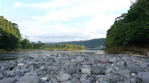LABERINTOS DEL CHIGUAZA (Puyo) - Lodge Reviews & Photos - Tripadvisor