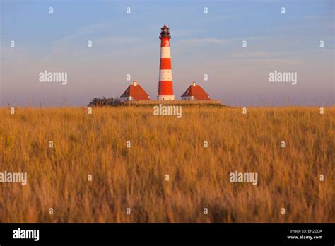 Image result for Full-Stack Web Development Animation. Design Pictures