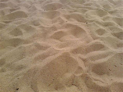 砂子和沙子的区别是什么_精选问答_学堂_齐家网