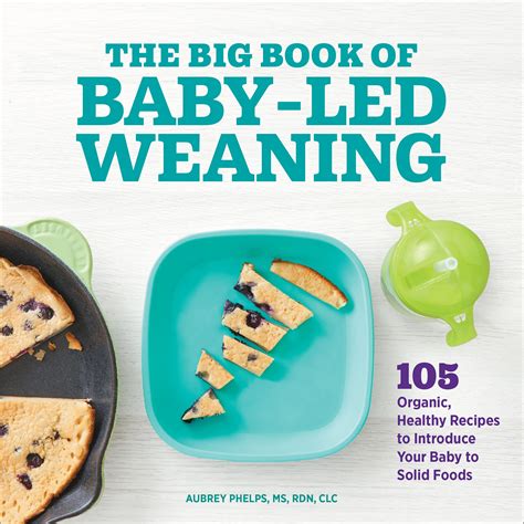 The Big Book of Baby Led Weaning: 105 Organic, Healthy Recipes to ...