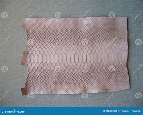 Image result for Pink Python Skin