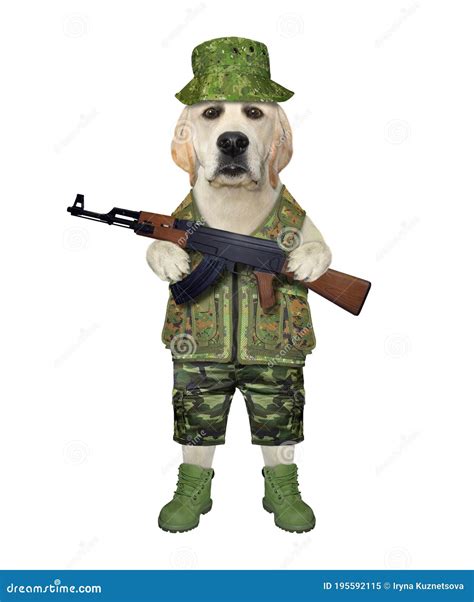 Funny Dogs With Guns