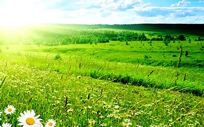 Retailio partners with Indifi Technologies to provide unsecured loans ...