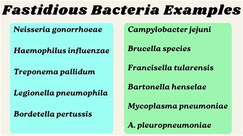 Bacteria Can Grow In The Refrigerator Or Coolroom at Kaitlyn Guest blog