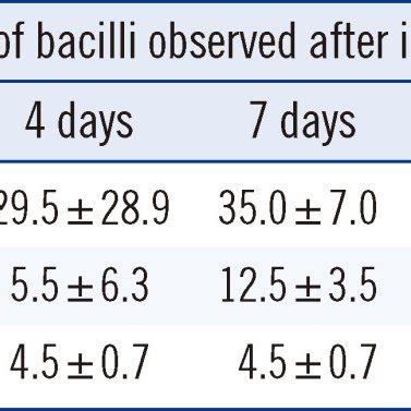 Image result for Acid-Fast Bacilli Staining Method
