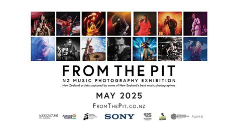 From the Pit, NZ Music Photography Exhibition, 12 Massey Avenue ...