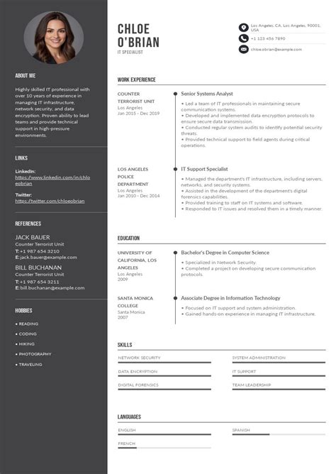 Image result for Information Technology Sample Resume