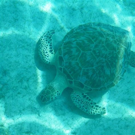 SEA BLASTER (2026) All You Need to Know BEFORE You Go (w/ Reviews ...