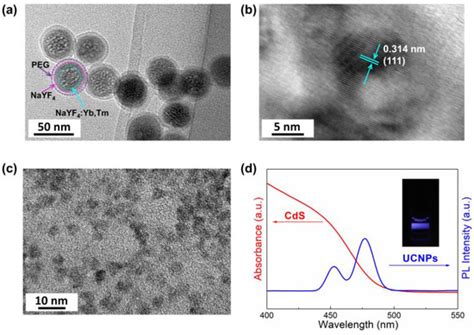 Upconversion-Powered Photoelectrochemical Bioanalysis for DNA Sensing