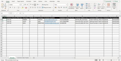 CUSTOMER DATA TRACKER | RWSP-WEBSITE