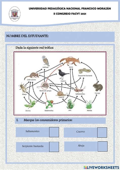 Group 7 Free Science Lessons 的图像结果