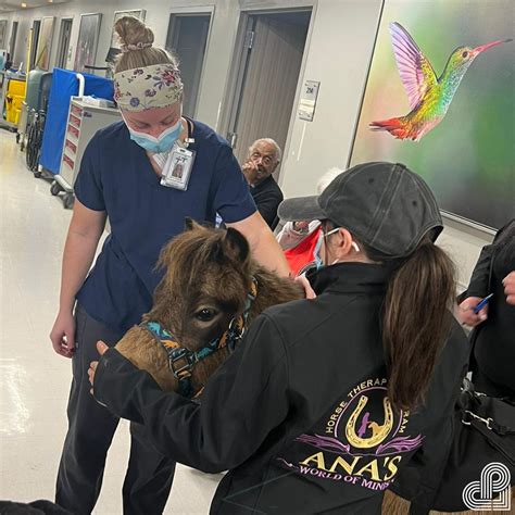 Preferred Care At Absecon on LinkedIn: #preferredcare #atabsecon #pcabsecon