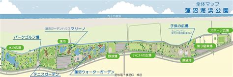 Image result for Data Collection Process Graph