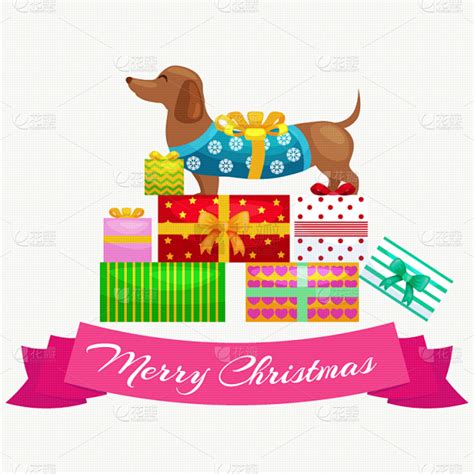 带什么礼物给狗狗最新素材