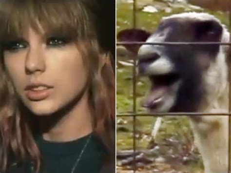 'Goat edition': Bizarre new meme skewers pop favorites