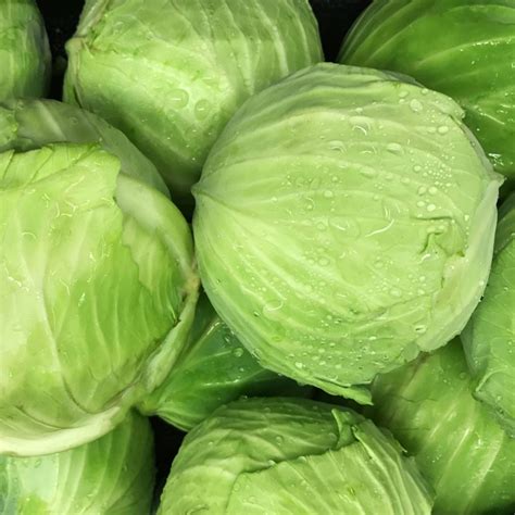 Cabbage (বাঁধাকপি) - 1 piece of about 650 to 950 gram | Vegetables | Oi ...