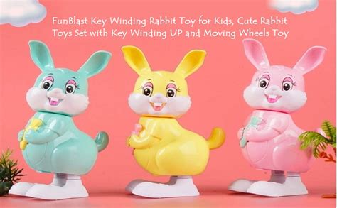 Buy FunBlast Key Winding Rabbit Toy for Kids, Cute Rabbit Toys Set with ...