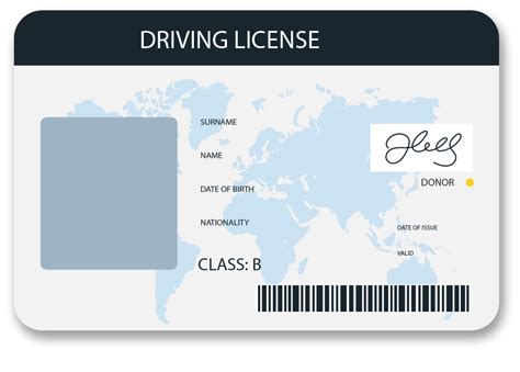 Image result for Drivers License Software