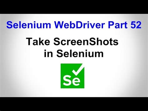 Image result for Java Selenium Screen Shot