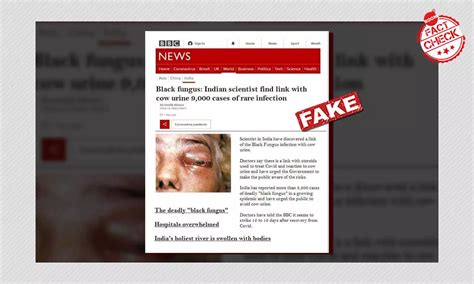 Document Claiming To Show Swiss Bank Account Details Of Indian ...