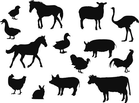 Vector farm animal silhouette isolated on white. Livestock and poultry ...